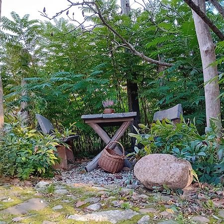 Stara Szkolas7 Noclegi,Mzajezierze 8 14-330 Mazury Maldyty Bagian luar foto