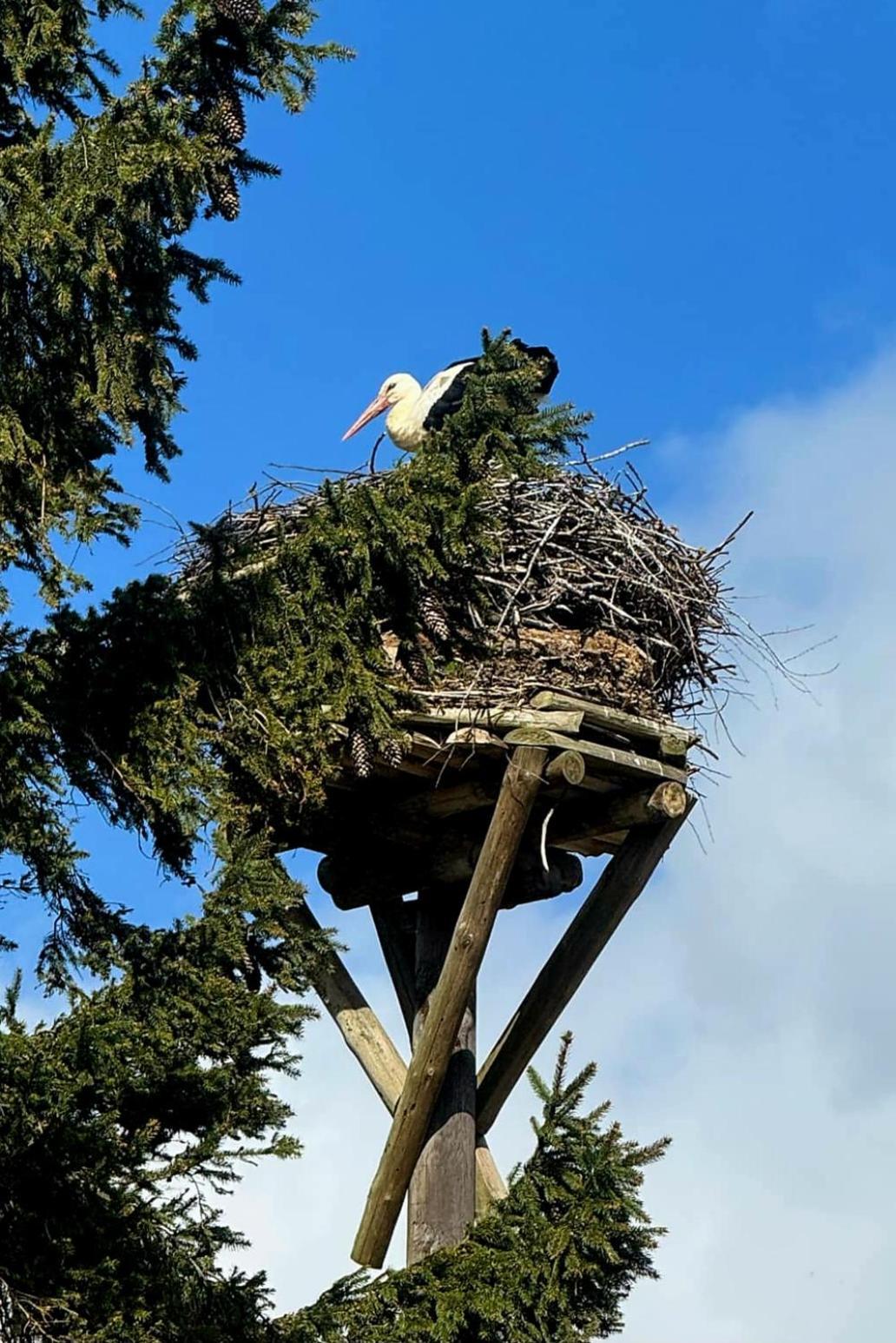 Stara Szkolas7 Noclegi,Mzajezierze 8 14-330 Mazury Maldyty Bagian luar foto