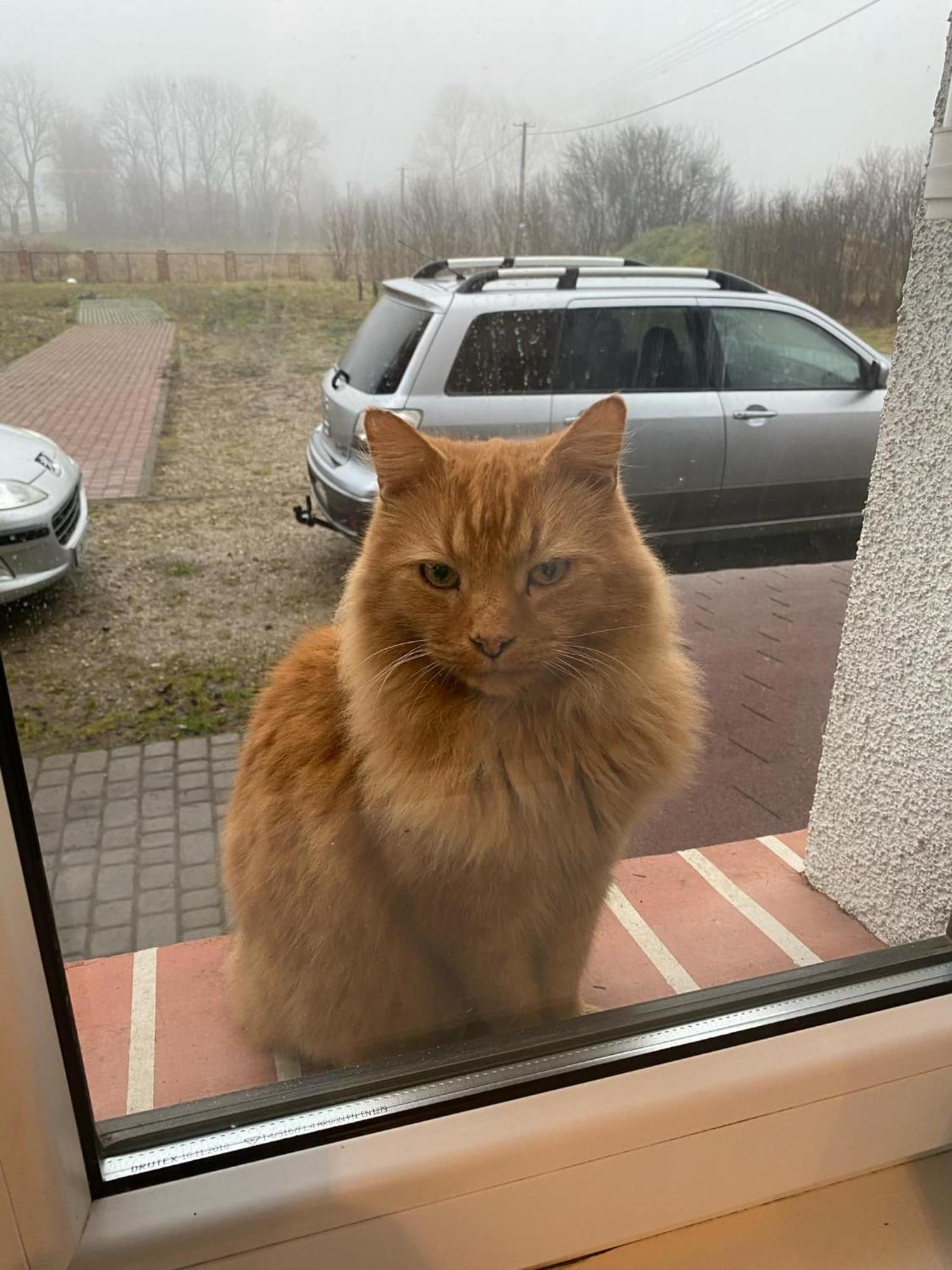 Stara Szkolas7 Noclegi,Mzajezierze 8 14-330 Mazury Maldyty Bagian luar foto