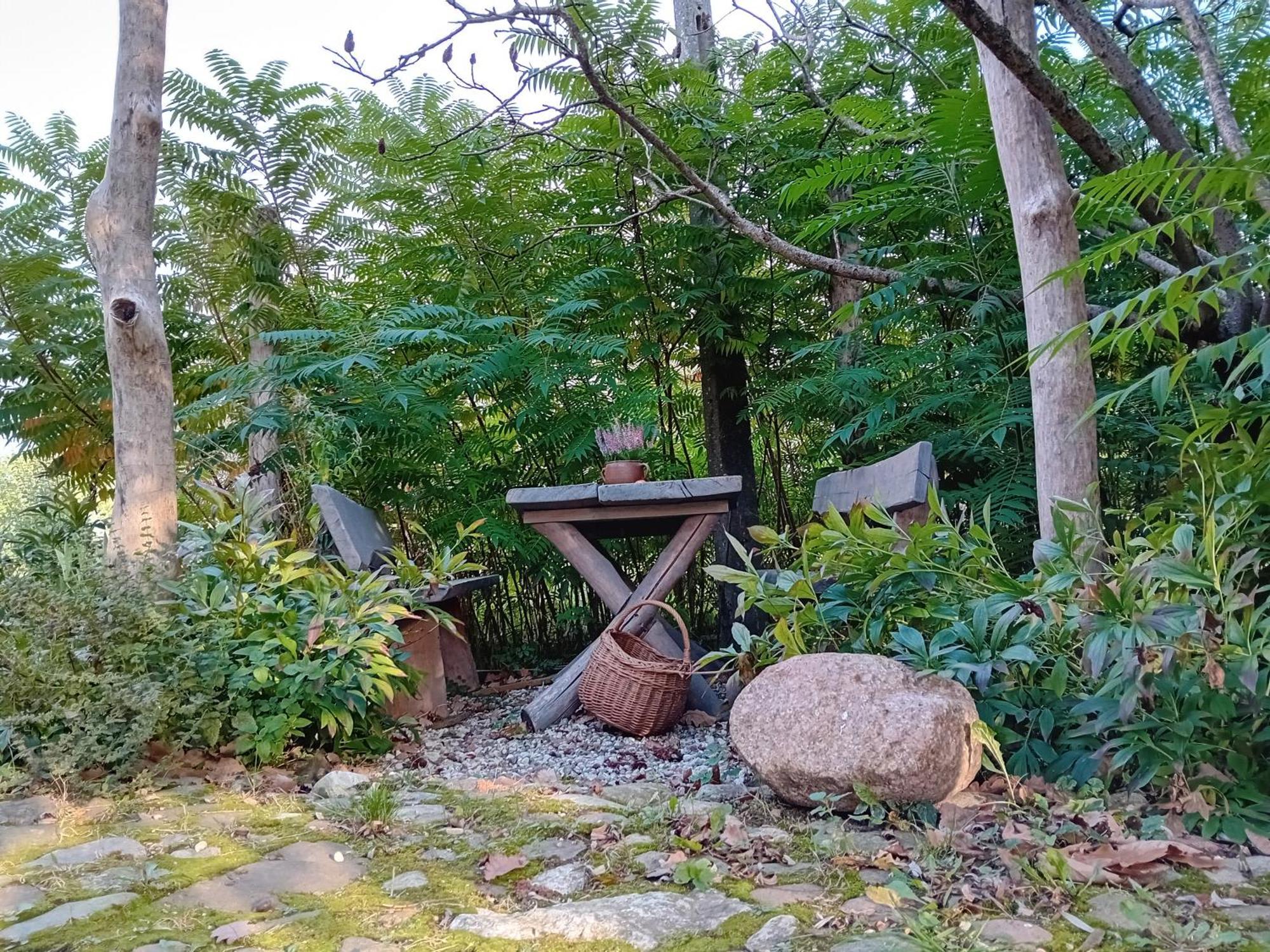 Stara Szkolas7 Noclegi,Mzajezierze 8 14-330 Mazury Maldyty Bagian luar foto